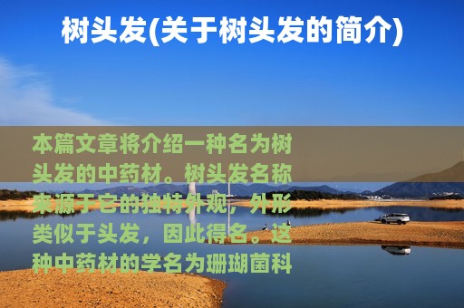 树头发(关于树头发的简介)