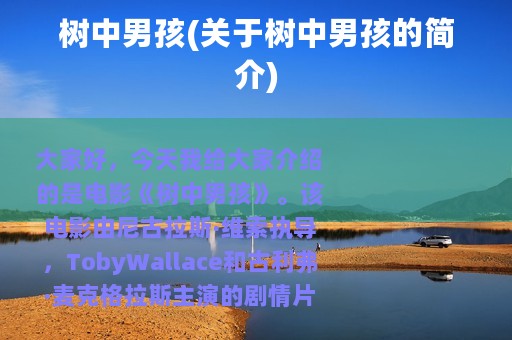 树中男孩(关于树中男孩的简介)