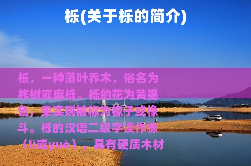 栎(关于栎的简介)