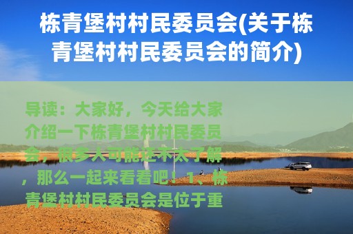 栋青堡村村民委员会(关于栋青堡村村民委员会的简介)