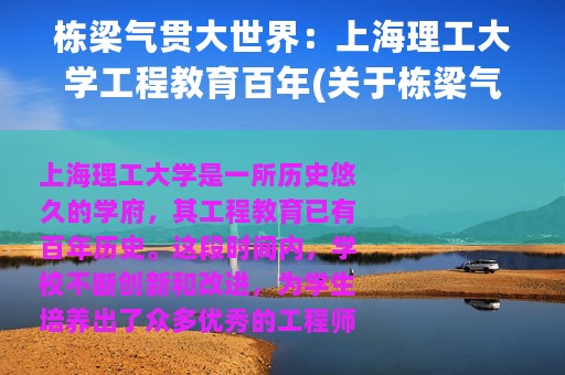 栋梁气贯大世界：上海理工大学工程教育百年(关于栋梁气贯大世界：上海理工大学工程教育百年的简介)