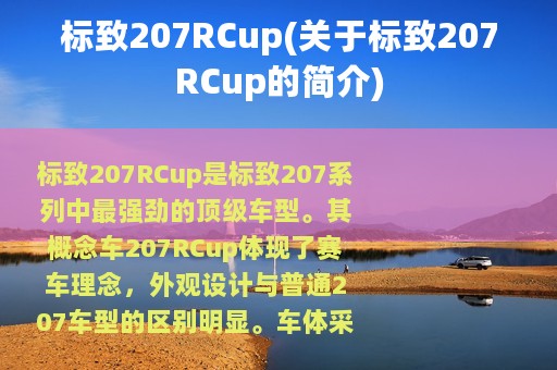 标致207RCup(关于标致207RCup的简介)