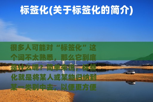标签化(关于标签化的简介)
