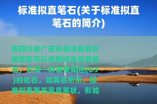标准拟直笔石(关于标准拟直笔石的简介)