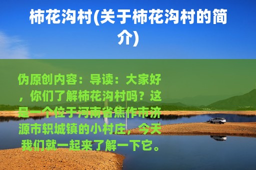 柿花沟村(关于柿花沟村的简介)