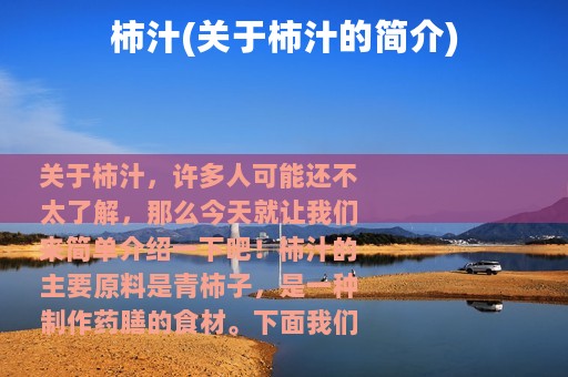 柿汁(关于柿汁的简介)