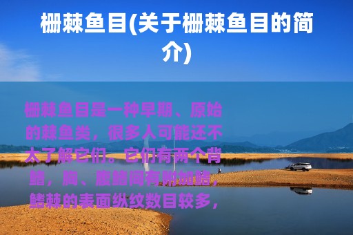 栅棘鱼目(关于栅棘鱼目的简介)