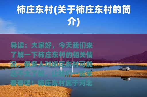 柿庄东村(关于柿庄东村的简介)