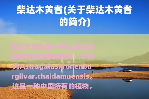 柴达木黄耆(关于柴达木黄耆的简介)