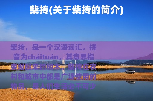 柴抟(关于柴抟的简介)