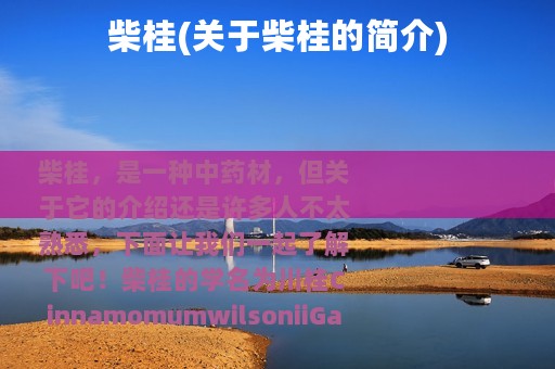 柴桂(关于柴桂的简介)