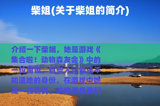 柴姐(关于柴姐的简介)