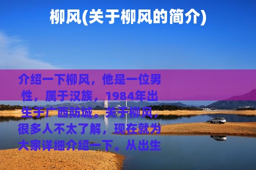 柳风(关于柳风的简介)