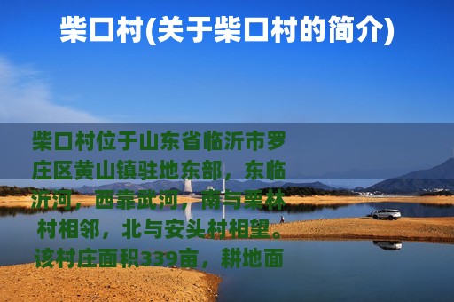 柴口村(关于柴口村的简介)