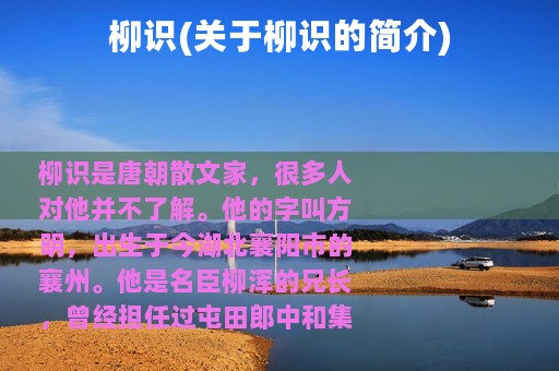 柳识(关于柳识的简介)