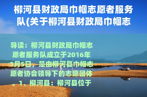 柳河县财政局巾帼志愿者服务队(关于柳河县财政局巾帼志愿者服务队的简介)