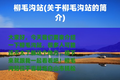 柳毛沟站(关于柳毛沟站的简介)