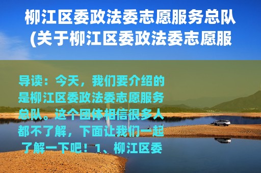 柳江区委政法委志愿服务总队(关于柳江区委政法委志愿服务总队的简介)