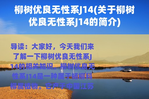 柳树优良无性系J14(关于柳树优良无性系J14的简介)