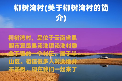 柳树湾村(关于柳树湾村的简介)