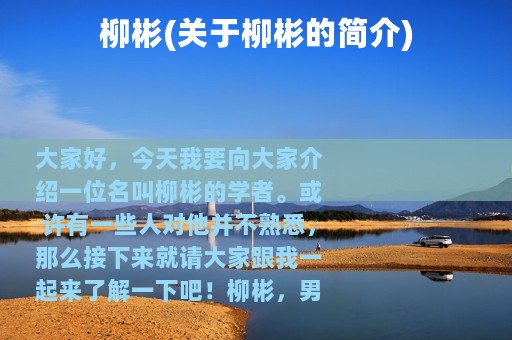 柳彬(关于柳彬的简介)