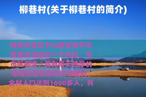 柳巷村(关于柳巷村的简介)