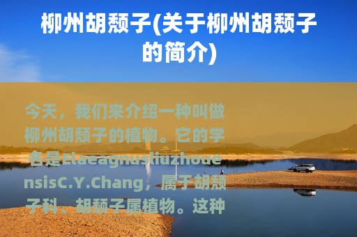 柳州胡颓子(关于柳州胡颓子的简介)