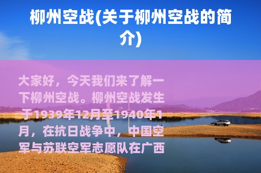 柳州空战(关于柳州空战的简介)