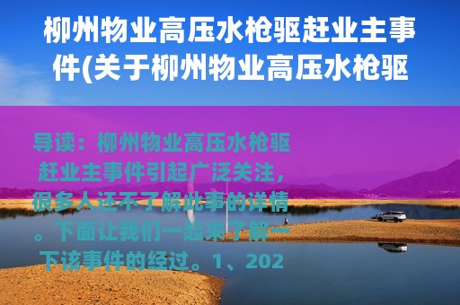 柳州物业高压水枪驱赶业主事件(关于柳州物业高压水枪驱赶业主事件的简介)