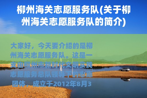 柳州海关志愿服务队(关于柳州海关志愿服务队的简介)