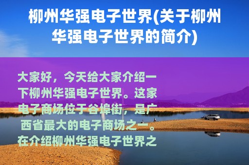 柳州华强电子世界(关于柳州华强电子世界的简介)