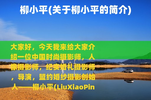 柳小平(关于柳小平的简介)