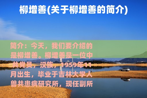 柳增善(关于柳增善的简介)