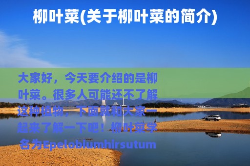 柳叶菜(关于柳叶菜的简介)