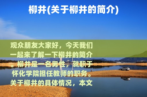 柳井(关于柳井的简介)