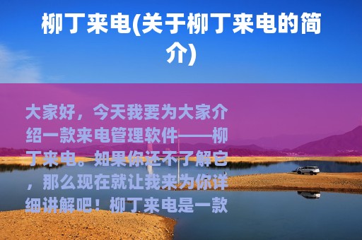 柳丁来电(关于柳丁来电的简介)