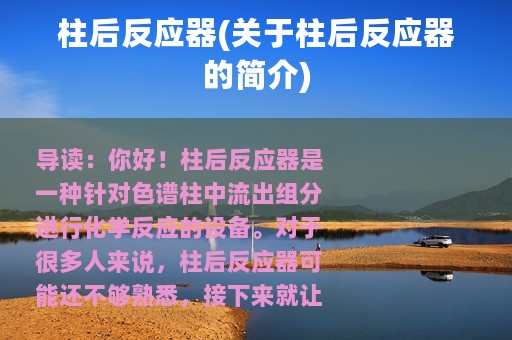 柱后反应器(关于柱后反应器的简介)