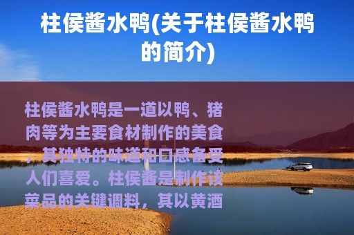 柱侯酱水鸭(关于柱侯酱水鸭的简介)