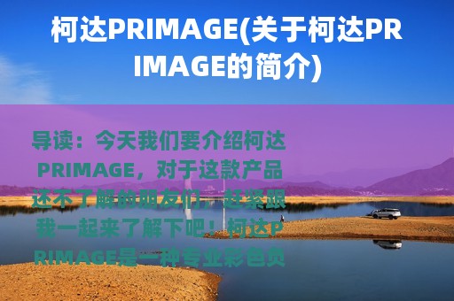 柯达PRIMAGE(关于柯达PRIMAGE的简介)