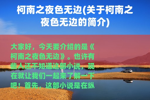 柯南之夜色无边(关于柯南之夜色无边的简介)