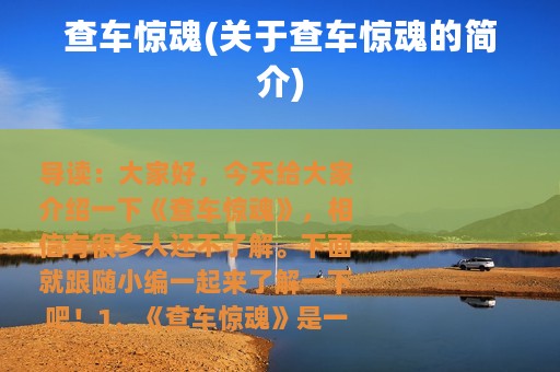 查车惊魂(关于查车惊魂的简介)