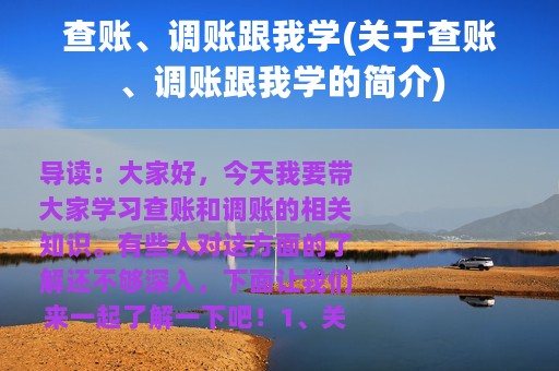 查账、调账跟我学(关于查账、调账跟我学的简介)