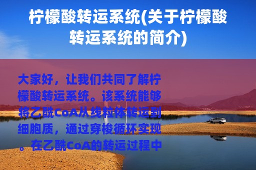 柠檬酸转运系统(关于柠檬酸转运系统的简介)