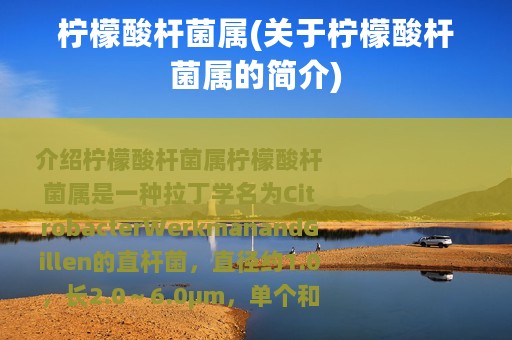 柠檬酸杆菌属(关于柠檬酸杆菌属的简介)