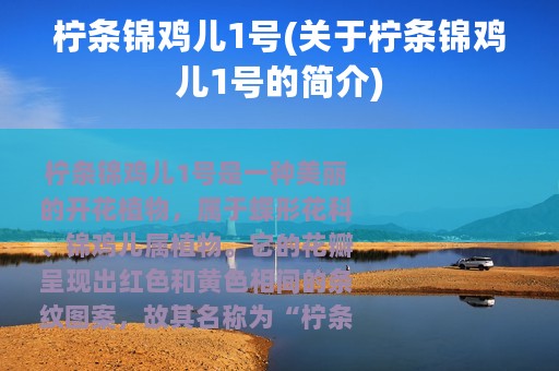 柠条锦鸡儿1号(关于柠条锦鸡儿1号的简介)