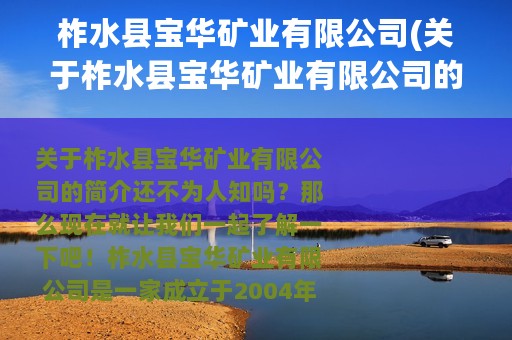 柞水县宝华矿业有限公司(关于柞水县宝华矿业有限公司的简介)