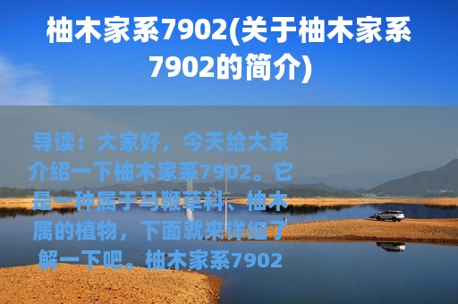 柚木家系7902(关于柚木家系7902的简介)