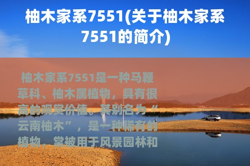 柚木家系7551(关于柚木家系7551的简介)