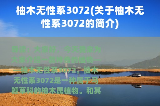 柚木无性系3072(关于柚木无性系3072的简介)