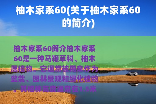 柚木家系60(关于柚木家系60的简介)